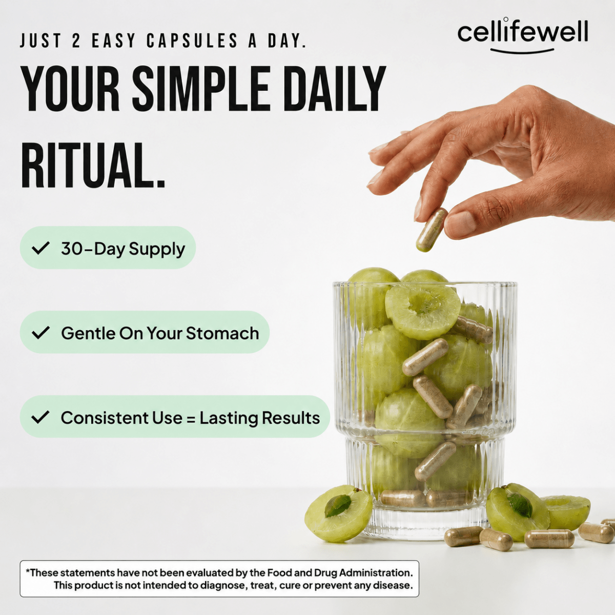Amla Superfruit Capsules - Cellife Well