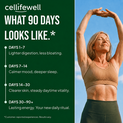 Amla Superfruit Capsules - Cellife Well