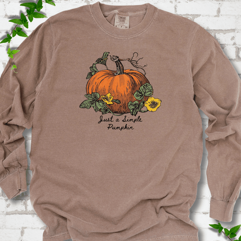 Just a Simple Pumpkin LS T-Shirt - Cellife Well