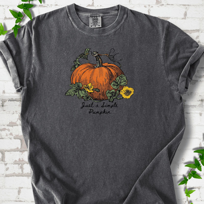 Just a Simple Pumpkin T-Shirt - Cellife Well