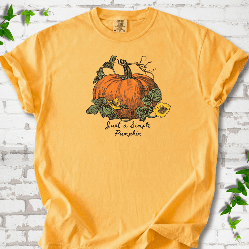 Just a Simple Pumpkin T-Shirt - Cellife Well