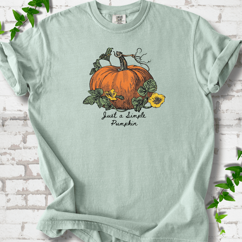 Just a Simple Pumpkin T-Shirt - Cellife Well
